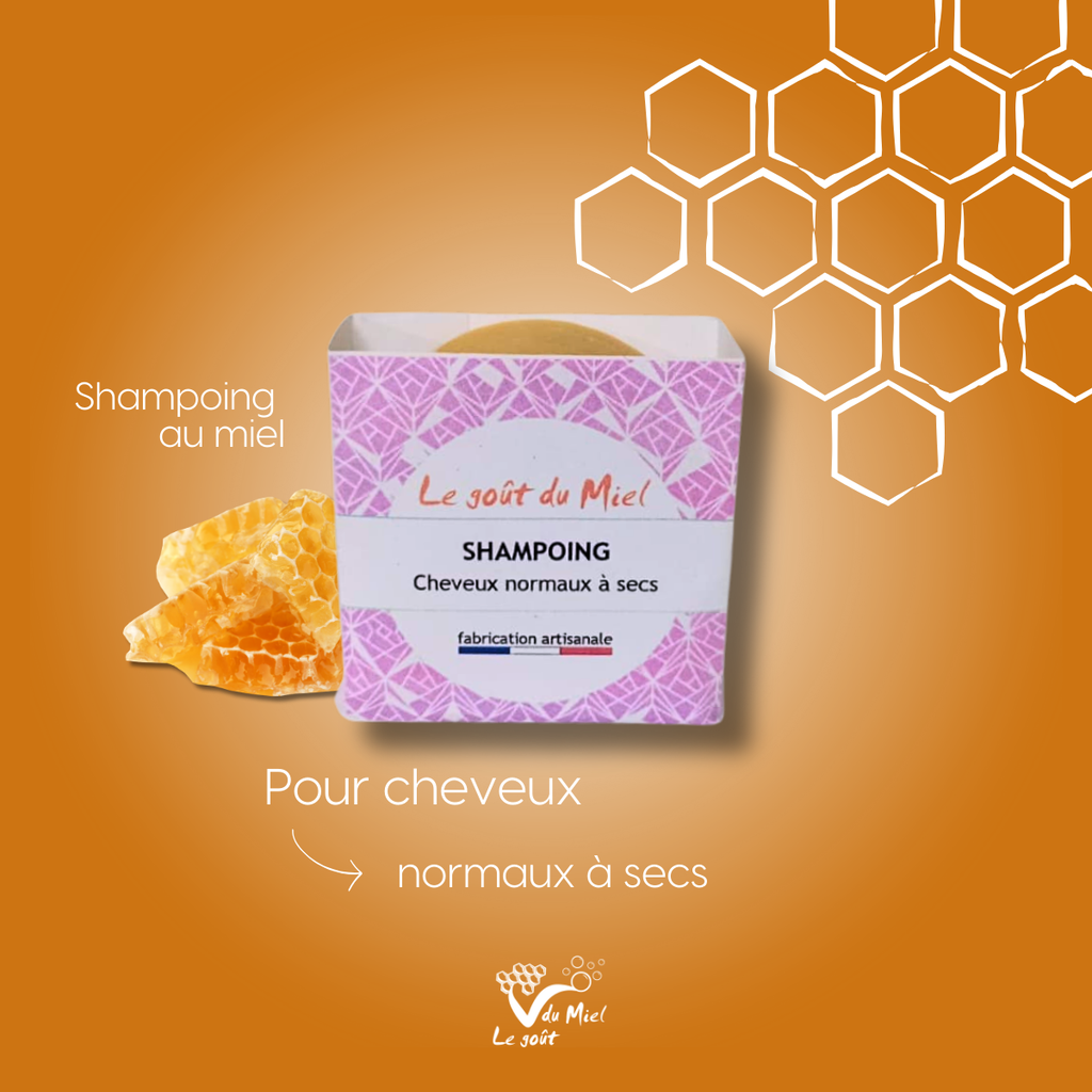 Shampoing – Cheveux Normaux à Secs