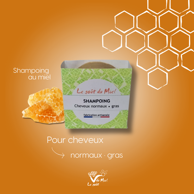 Shampoing – Cheveux Normaux à Gras