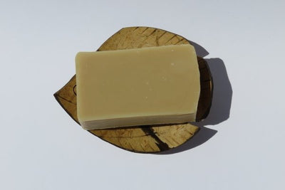 Porte-savon poisson en noix de coco